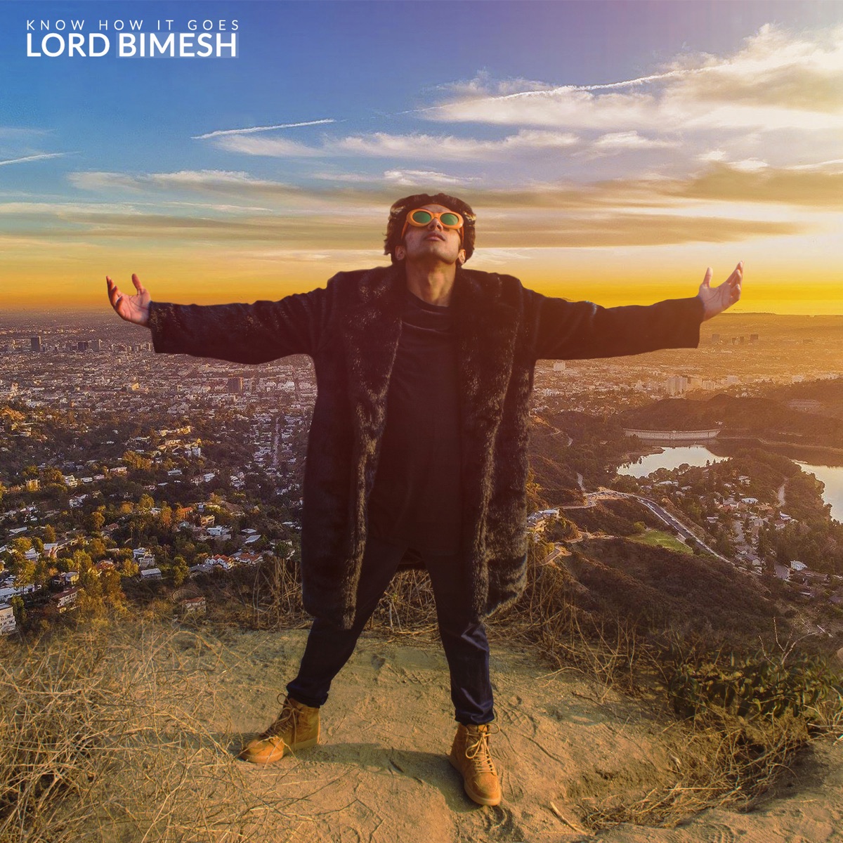 Know How It Goes - Single by Lord Bimesh album cover