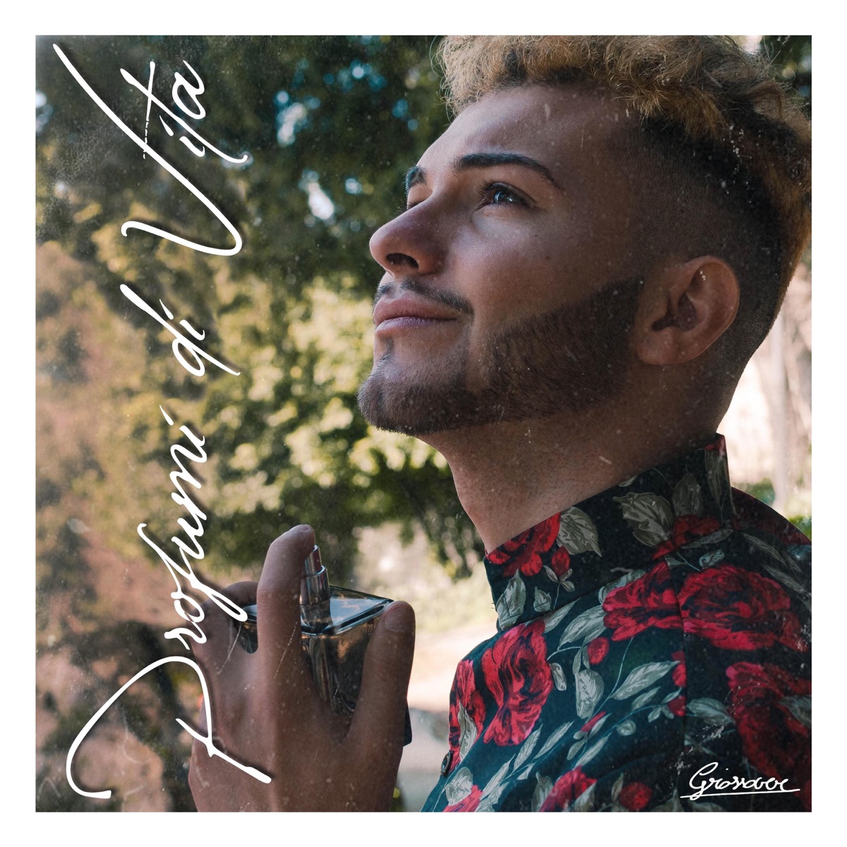 Profumi di Vita by Grossover album cover