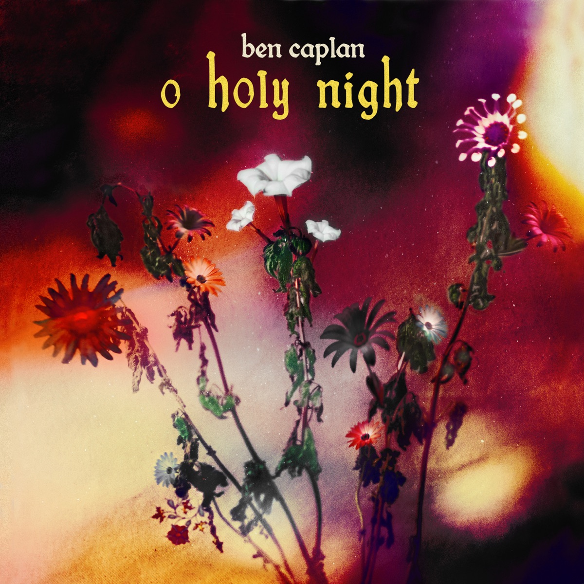 O Holy Night - Single by Ben Caplan album cover