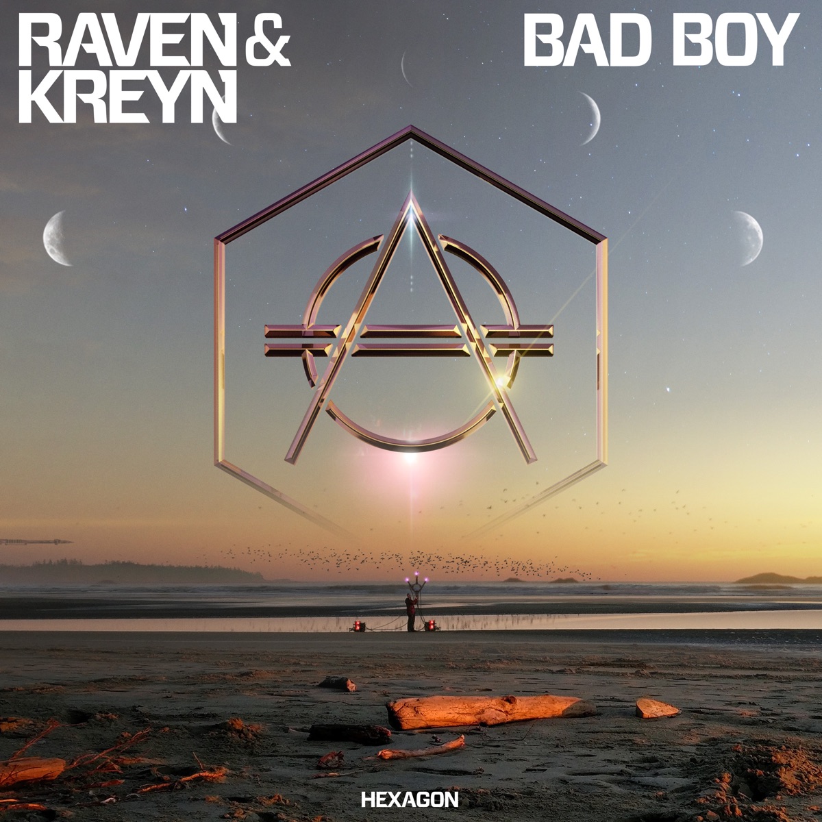 Bad Boy - Single by Raven & Kreyn album cover