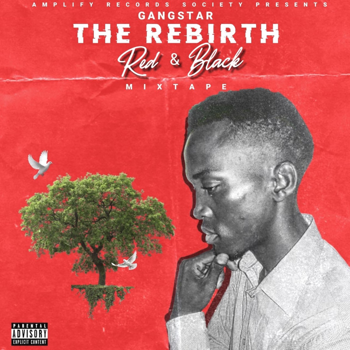The Rebirth : Red & Black Mixtape by Gangstar album cover