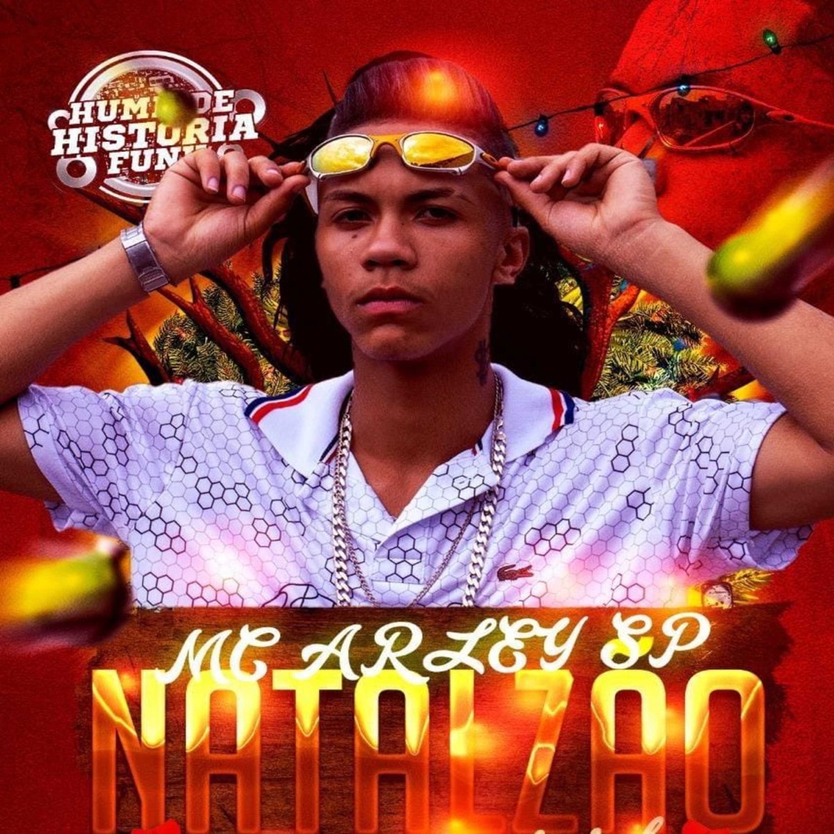 Natalzão - Single by Mc Arley SP album cover