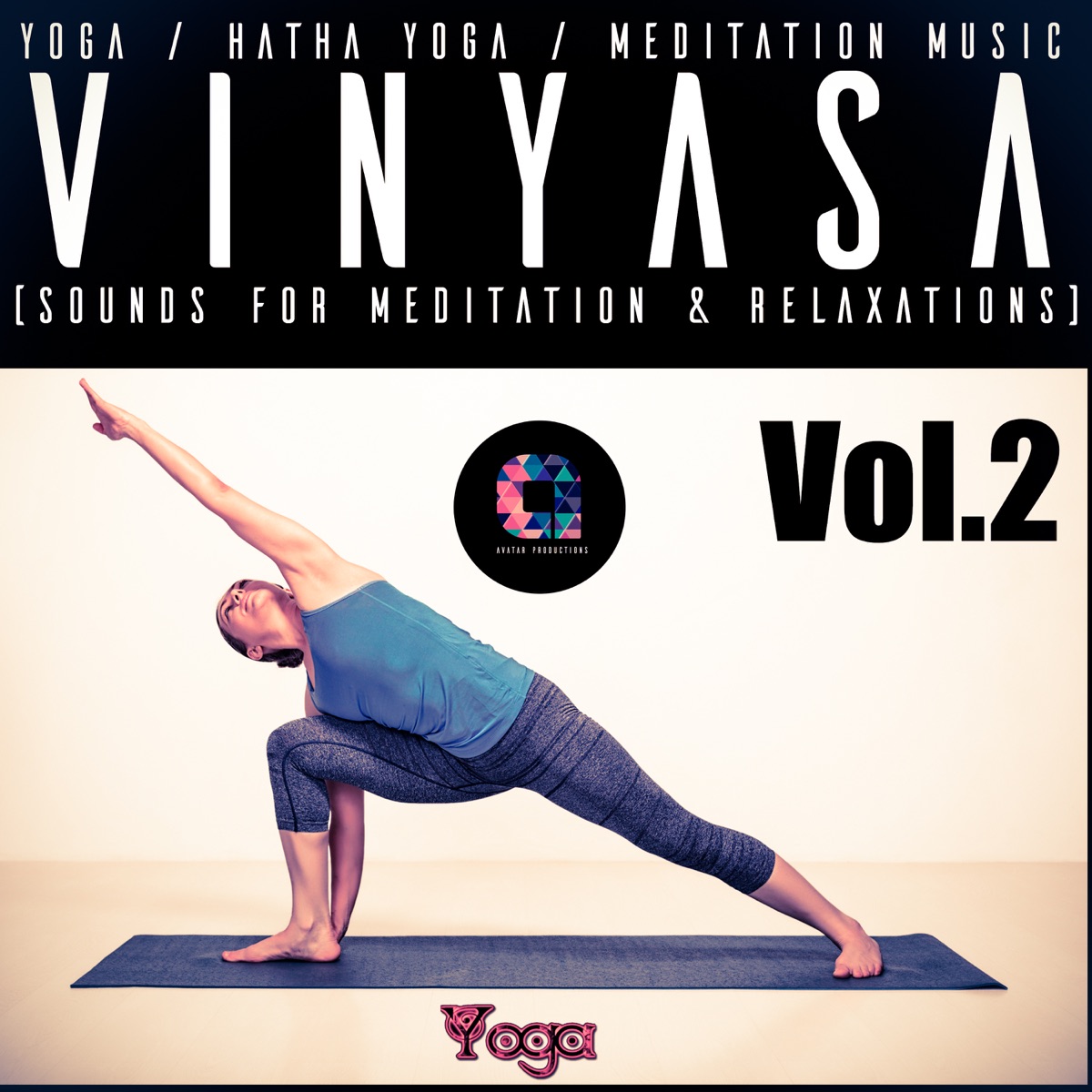 Vinyasa, Vol.2 by Hatha Yoga, Meditation Music, Vinyasa & Yoga Music album cover