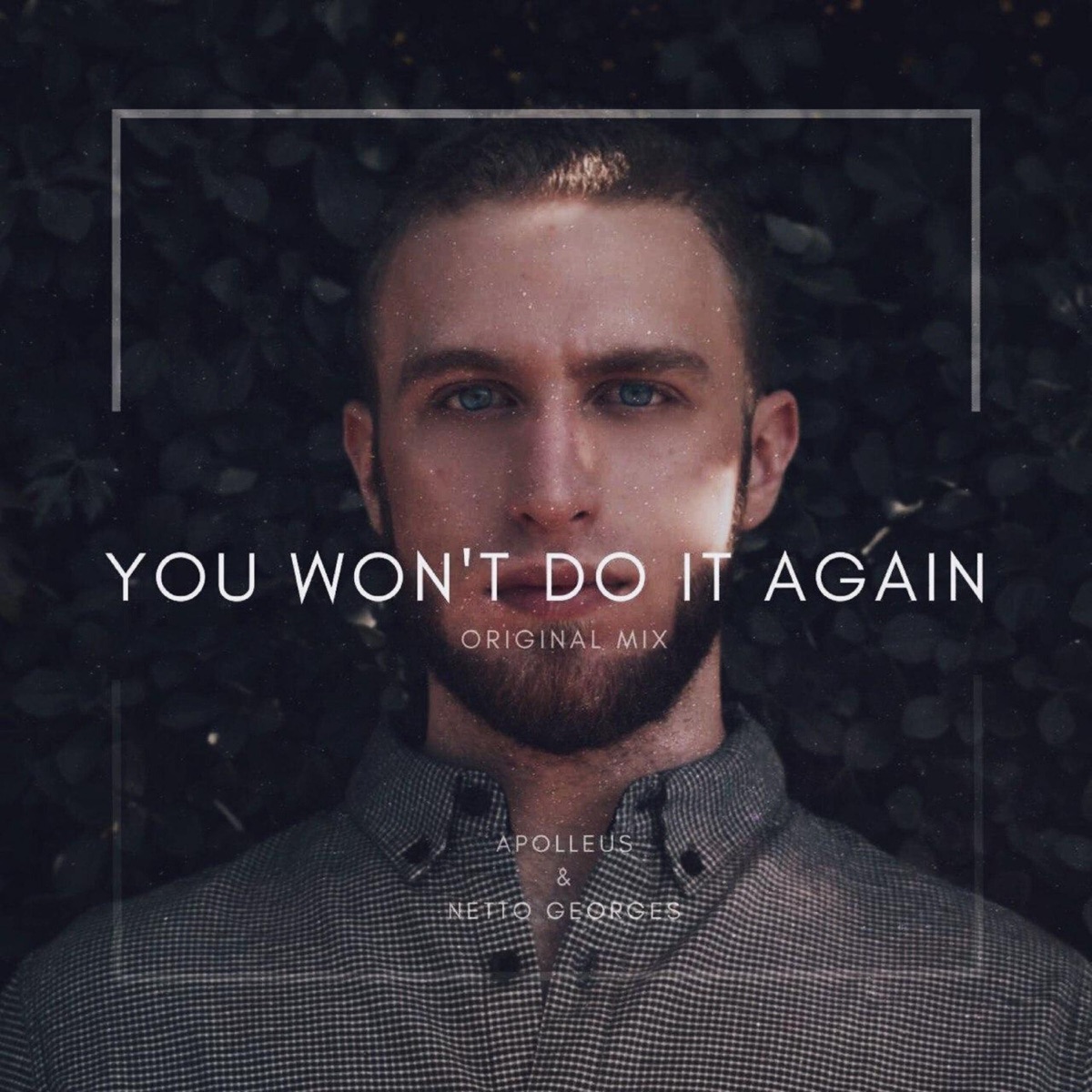 You Won't Do It Again (feat. Netto Georges) - Single by Apolleus album cover