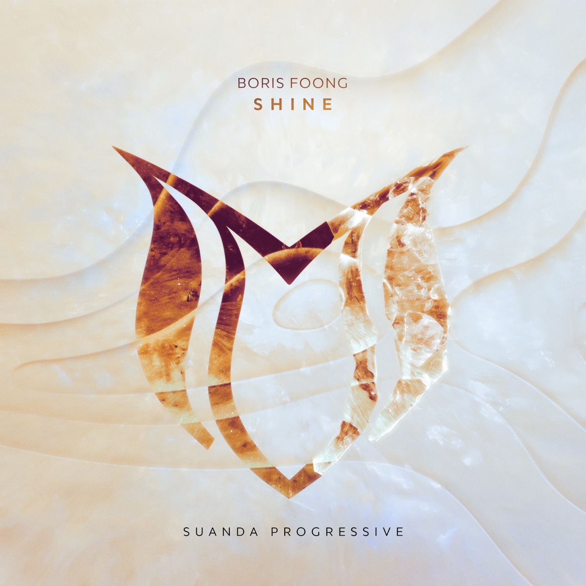 Shine - Single by Boris Foong album cover
