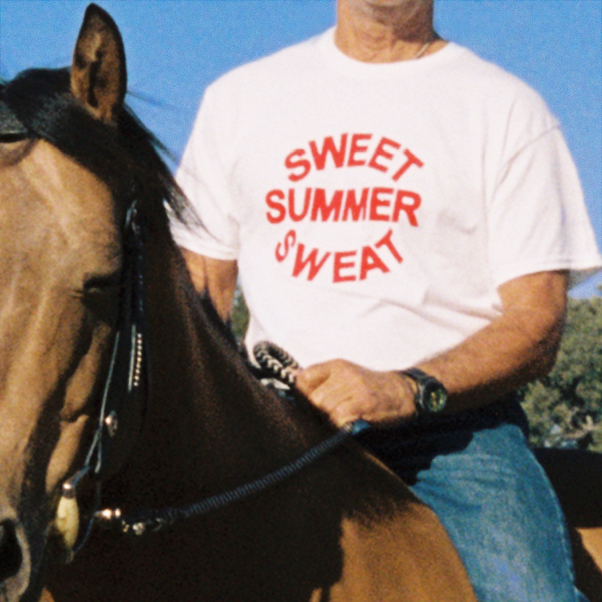 Sweet Summer Sweat (feat. Dijon) - Single by Jim-E Stack album cover