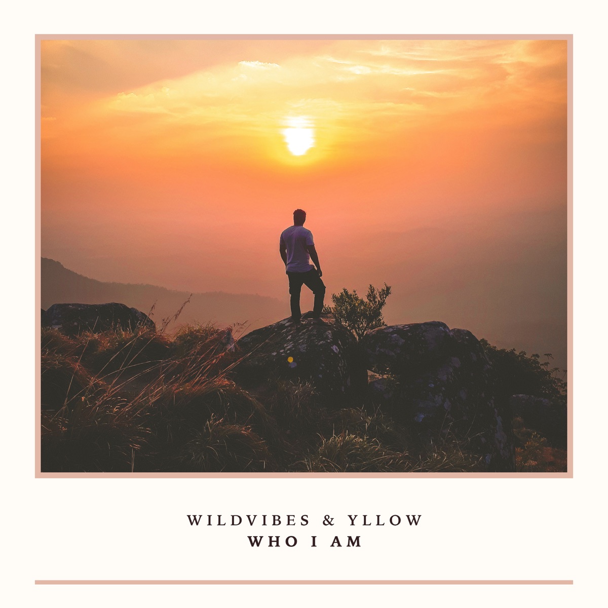 Who I Am - Single by WildVibes & YLLOW album cover