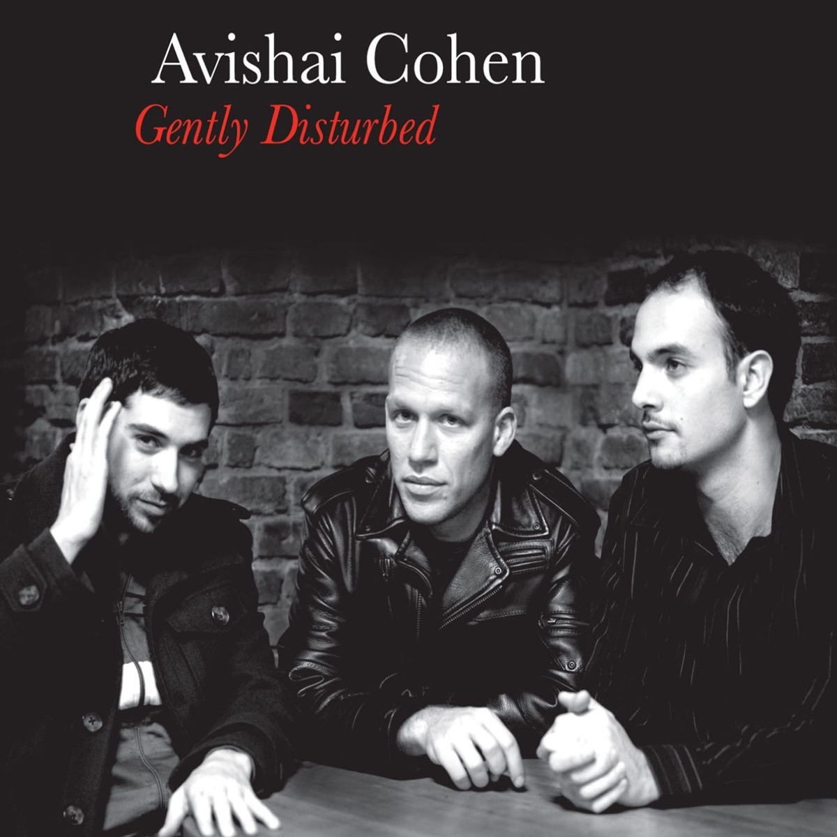 Gently Disturbed by Avishai Cohen album cover