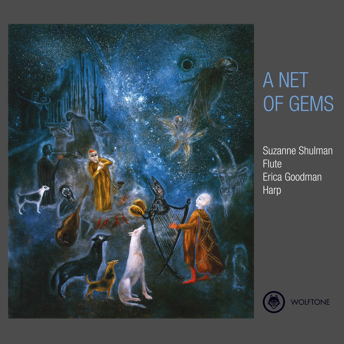 A Net of Gems by Suzanne Shulman & Erica Goodman album cover
