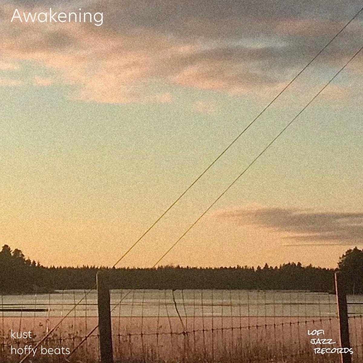 Awakening - Single by Hoffy Beats & kust album cover