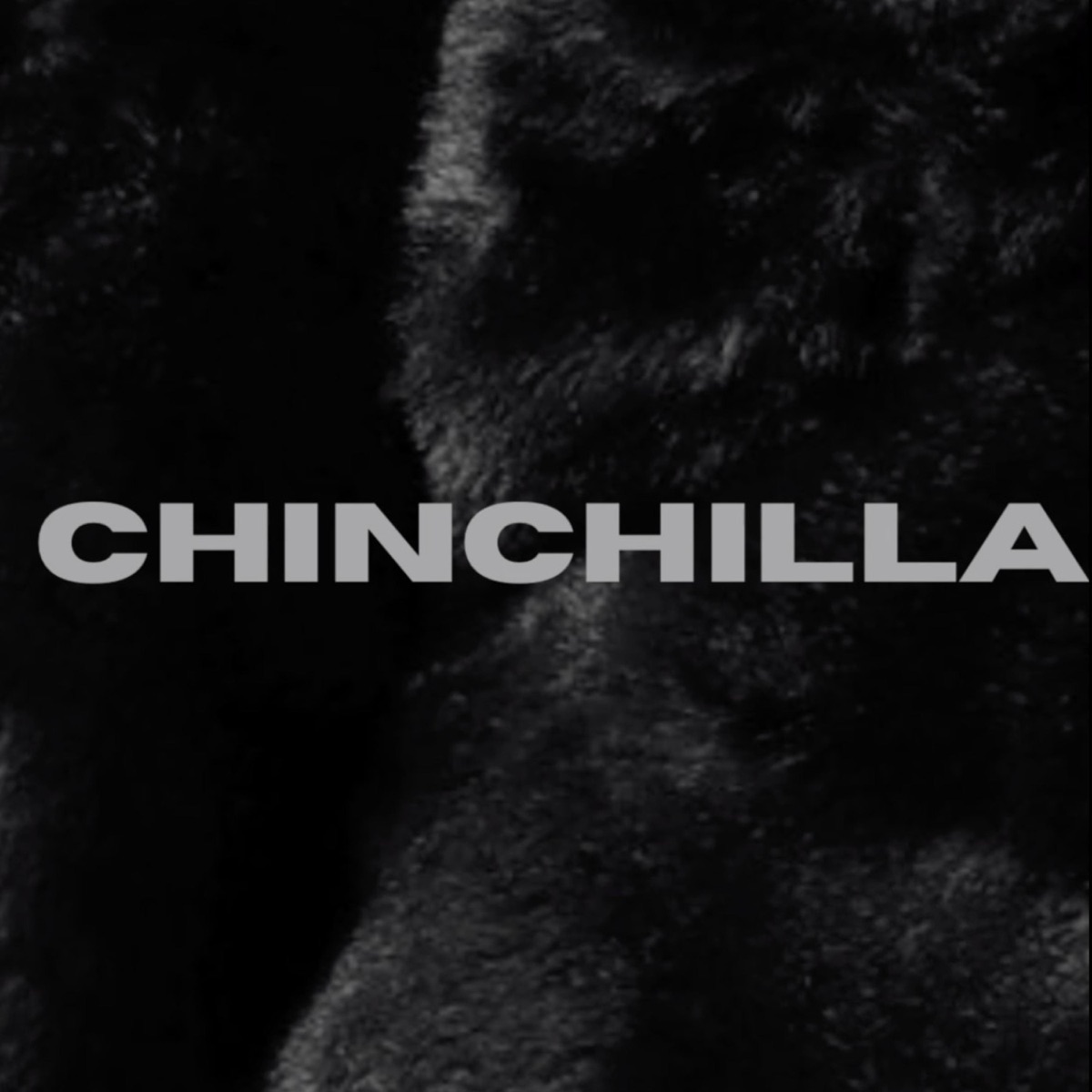 Chinchilla (feat. illy - Ace) - Single by Lori Lanez album cover