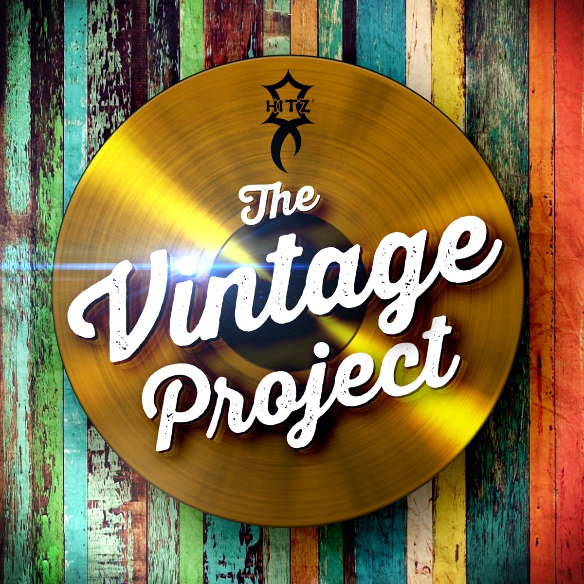 The Vintage Project - Single by Hitz, Chain & Tallpree album cover