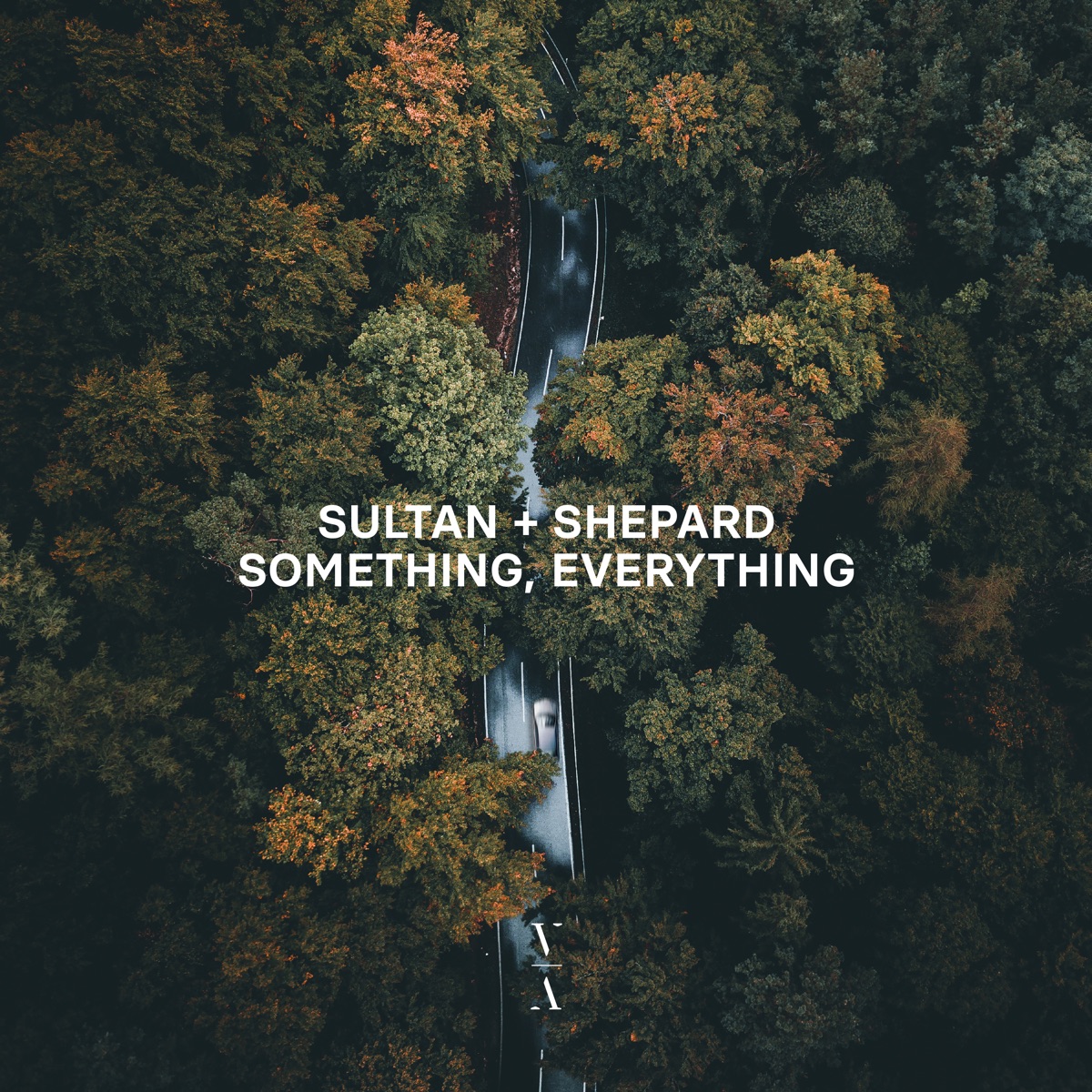 Something, Everything by Sultan + Shepard album cover