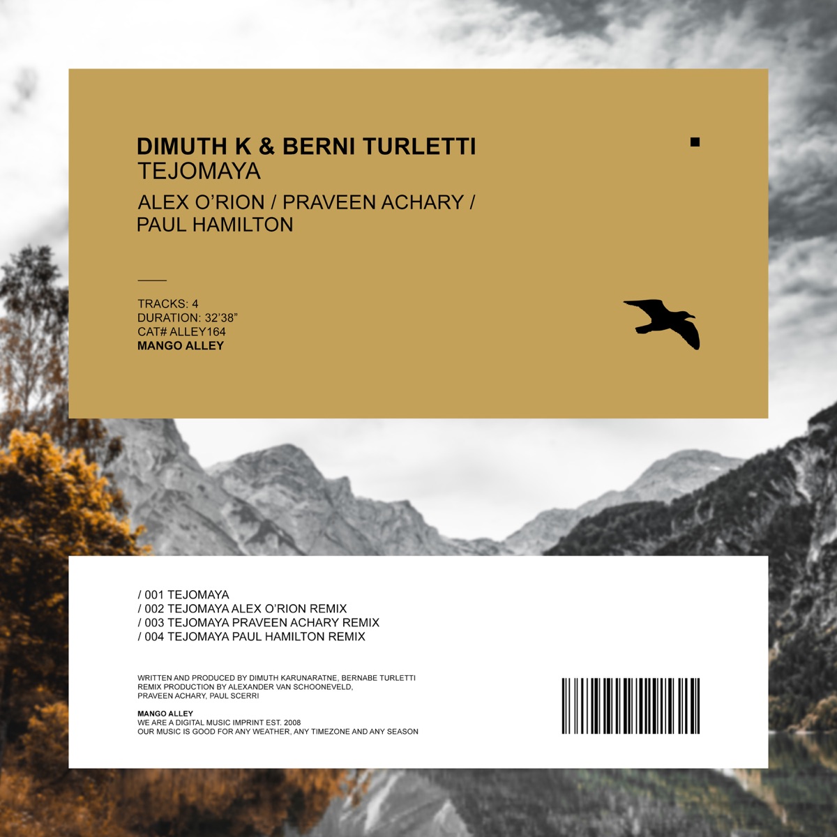 Tejomaya by Dimuth K & Berni Turletti album cover