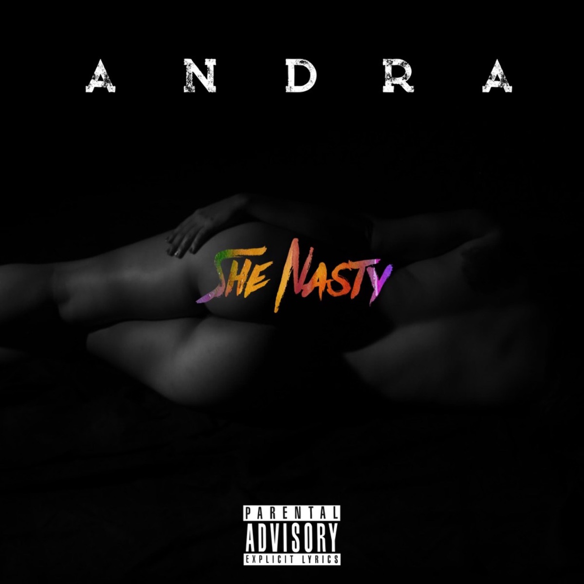 She Nasty - Single by Andra album cover