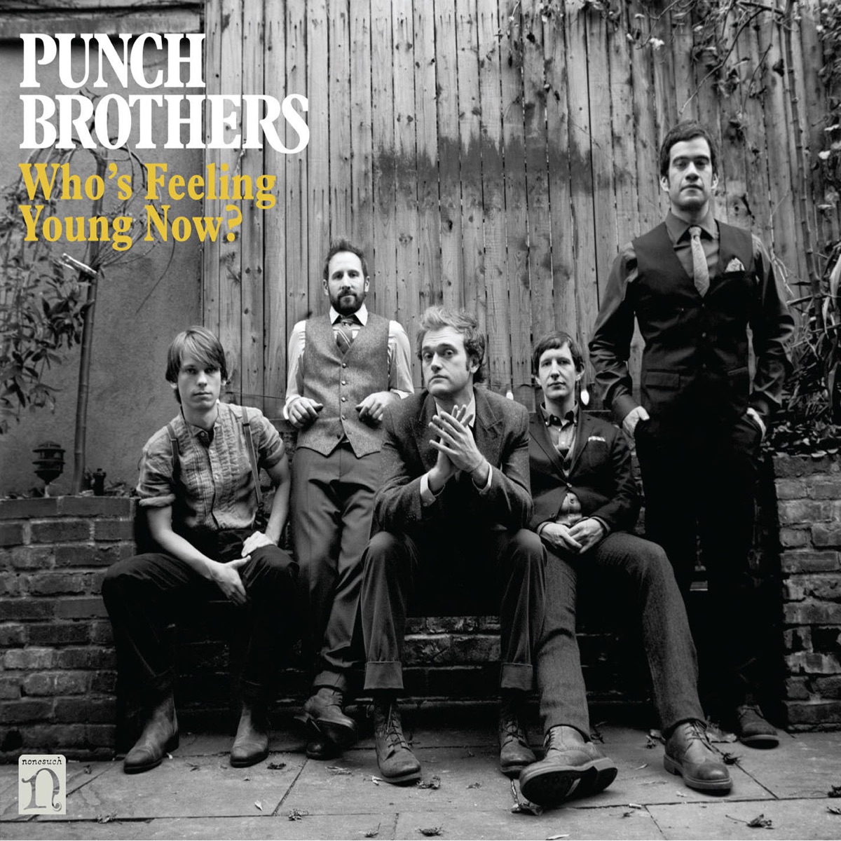 Who's Feeling Young Now? by Punch Brothers album cover