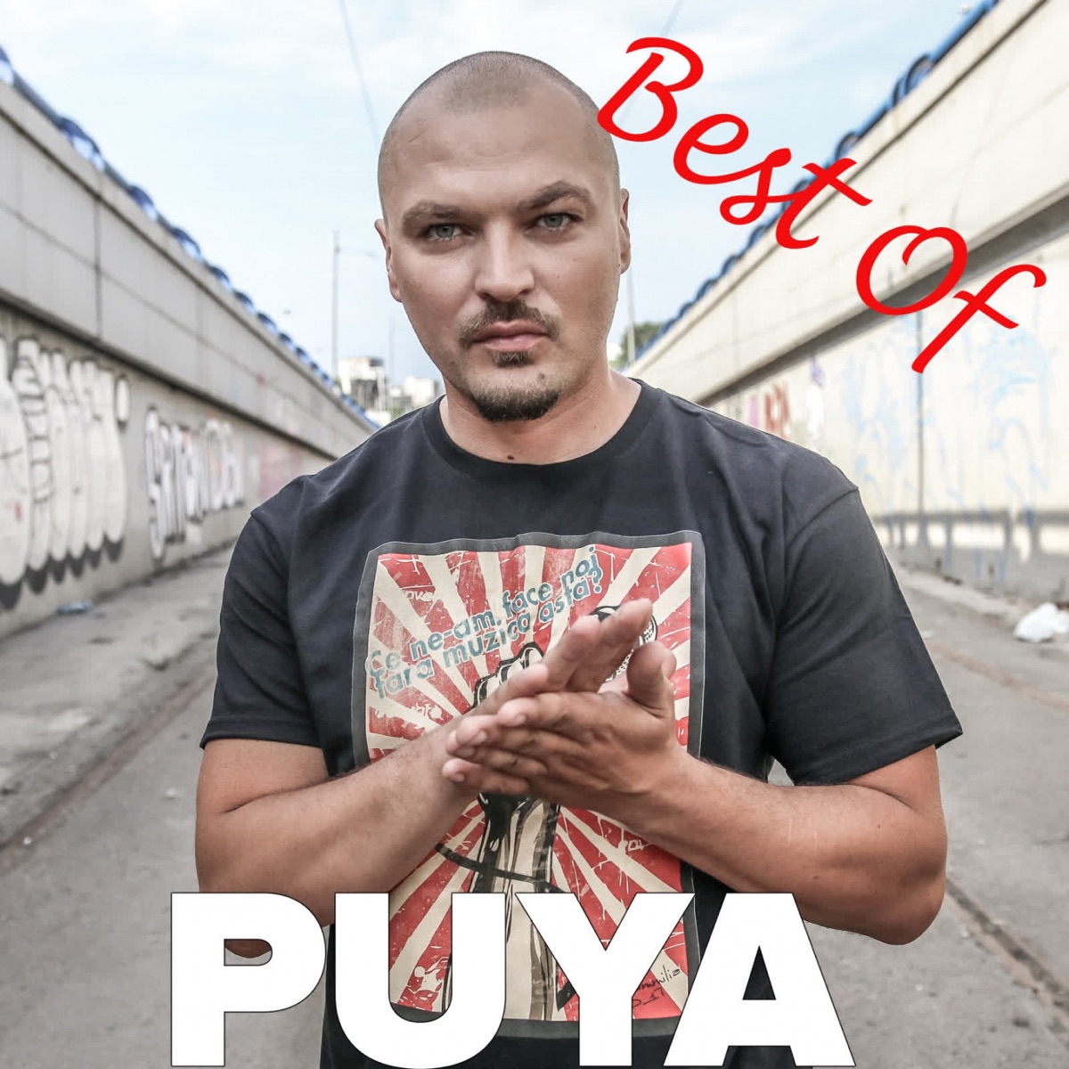 Best Of (feat. Doddy, Connect-R, Cornel Ilie, Posset, Mahia Beldo, Alex Velea, Don Baxter, Vescan, Anastasia, Elena Ionescu, Ligia, Andrei Vitan, Anon, Bibanu MixXL & Delia) by Puya album cover