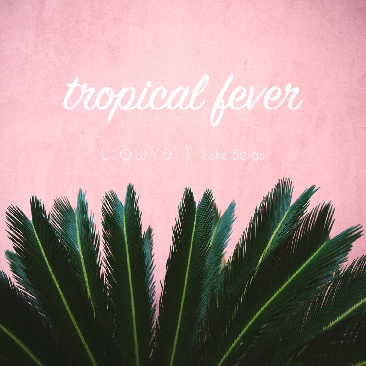 Tropical Fever - Single by LiQWYD & Luke Bergs album cover