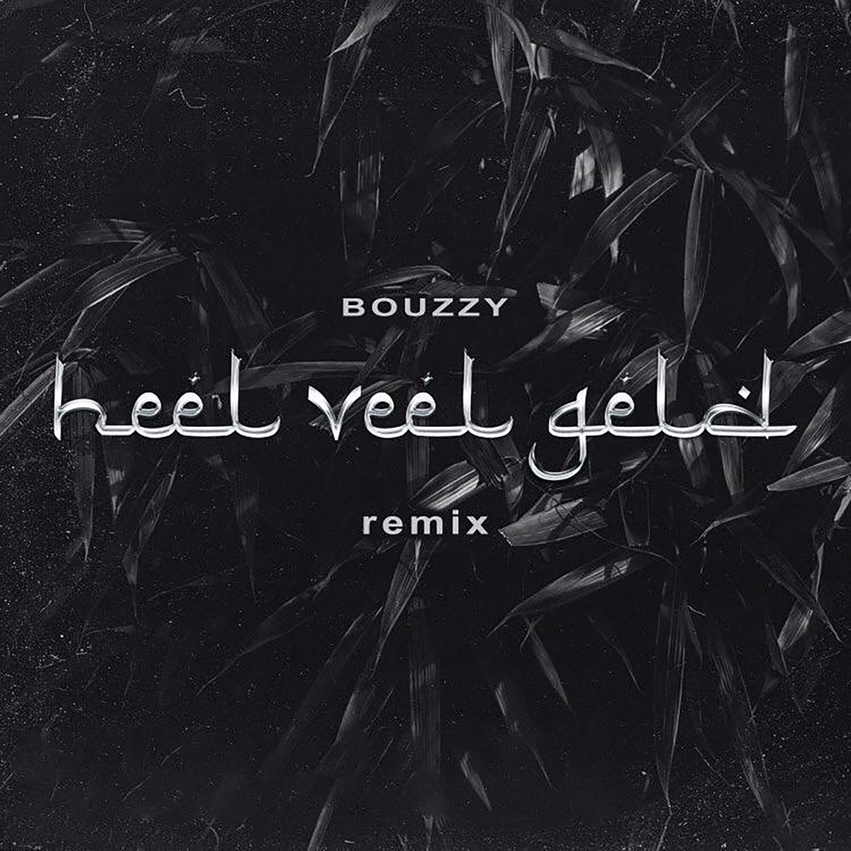 Heel Veel Geld (Remix) - Single by Bouzzy album cover