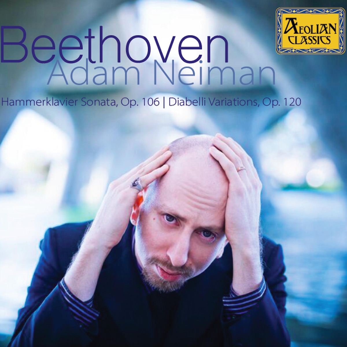 Beethoven: Piano Sonata No. 29 in B-Flat Major, Op. 106 - 33 Variations on a Waltz by Diabelli, Op. 120 by Adam Neiman album cover