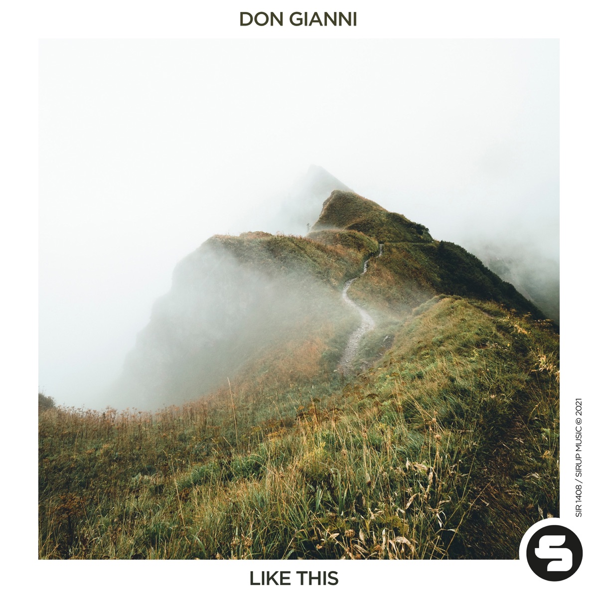 Like This - Single by Don Gianni album cover