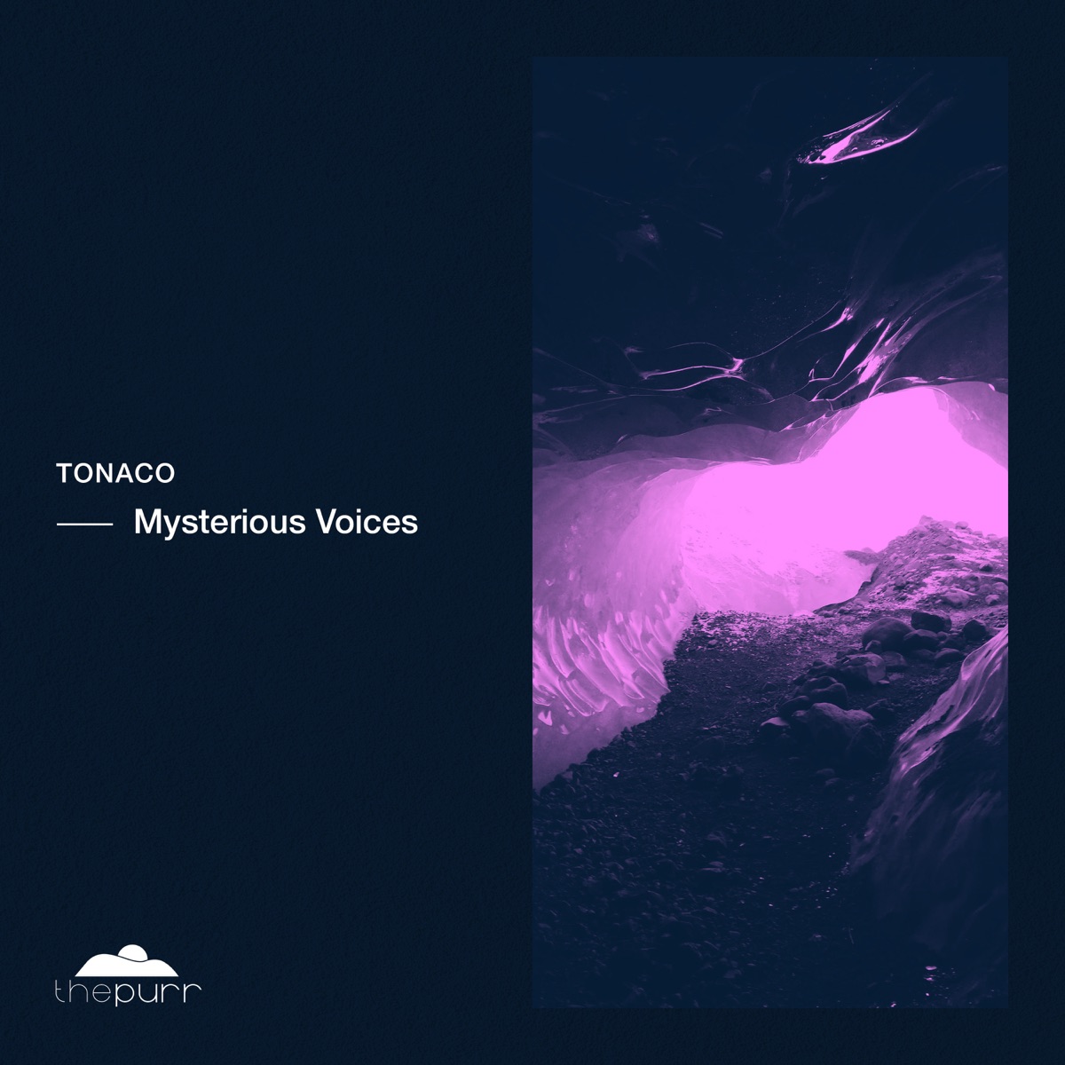 Mysterious Voices - Single by Tonaco album cover