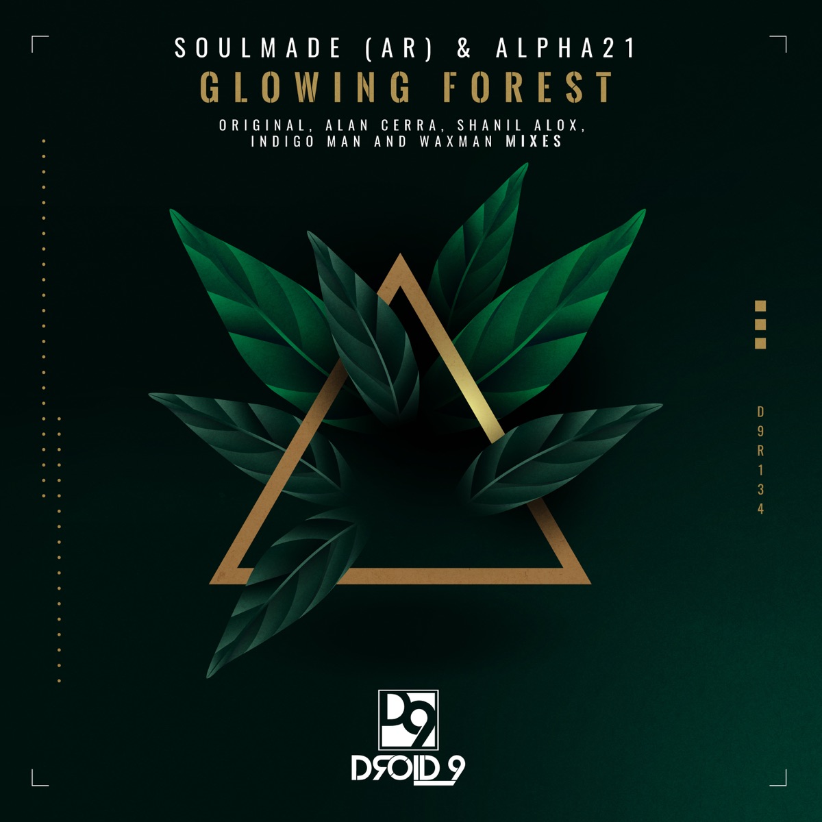 Glowing Forest by Nahuel V & ALPHA21 album cover
