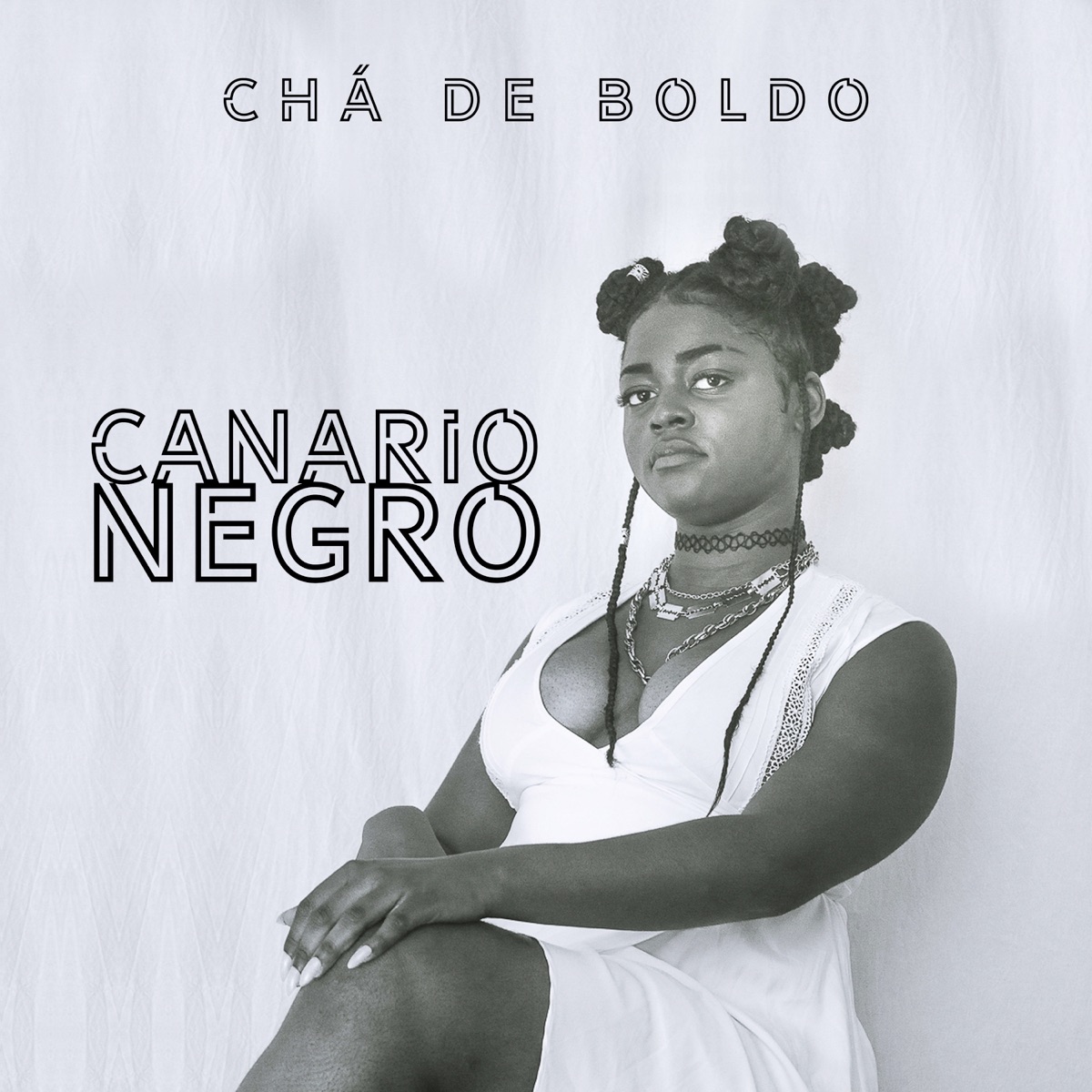 CHÁ DE BOLDO - Single by Canário Negro album cover