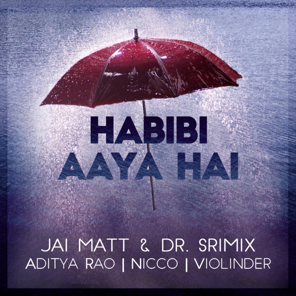 Habibi Aaya Hai (feat. Aditya Rao, Nicco & Dr. Srimix) [feat. Aditya Rao, Nicco & Dr. Srimix] - Single by Jai Matt album cover