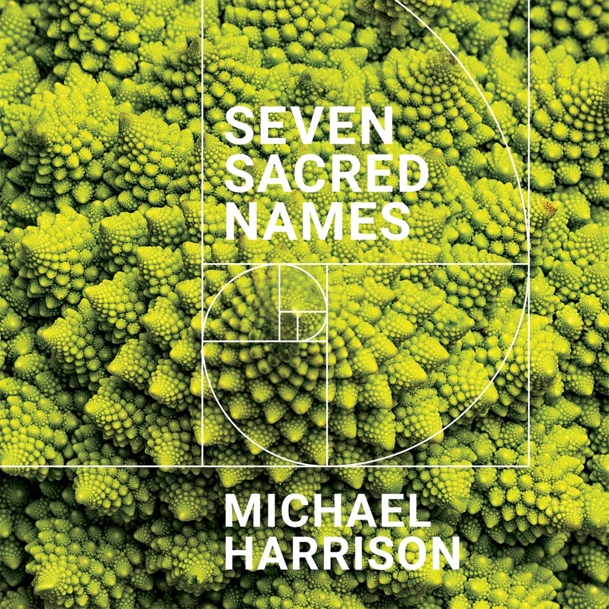 Michael Harrison: Seven Sacred Names by Michael Harrison album cover