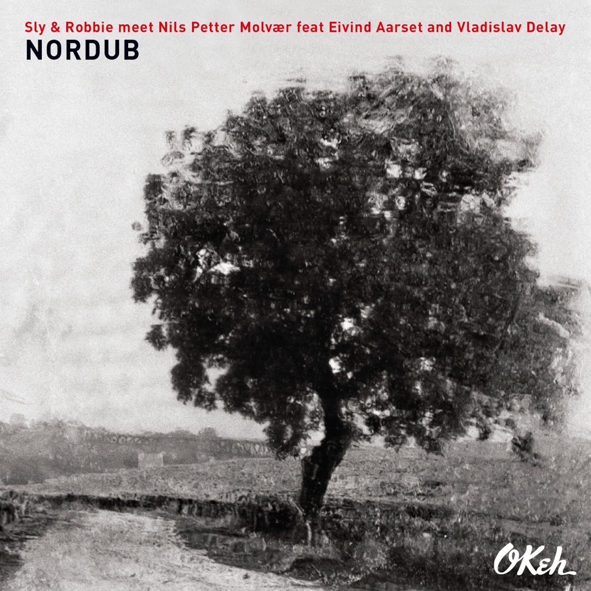 Nordub by Sly & Robbie, Nils Petter Molvær, Eivind Aarset & Vladislav Delay album cover