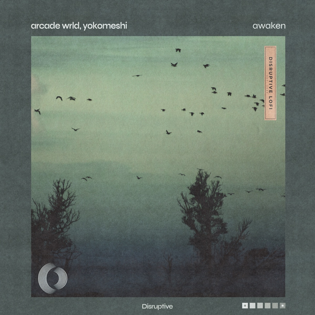 Awaken - Single by Arcade Wrld, Yokomeshi & Disruptive LoFi album cover