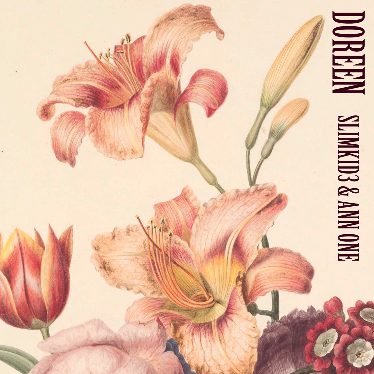 Doreen - Single by Slimkid3 & Ann One album cover