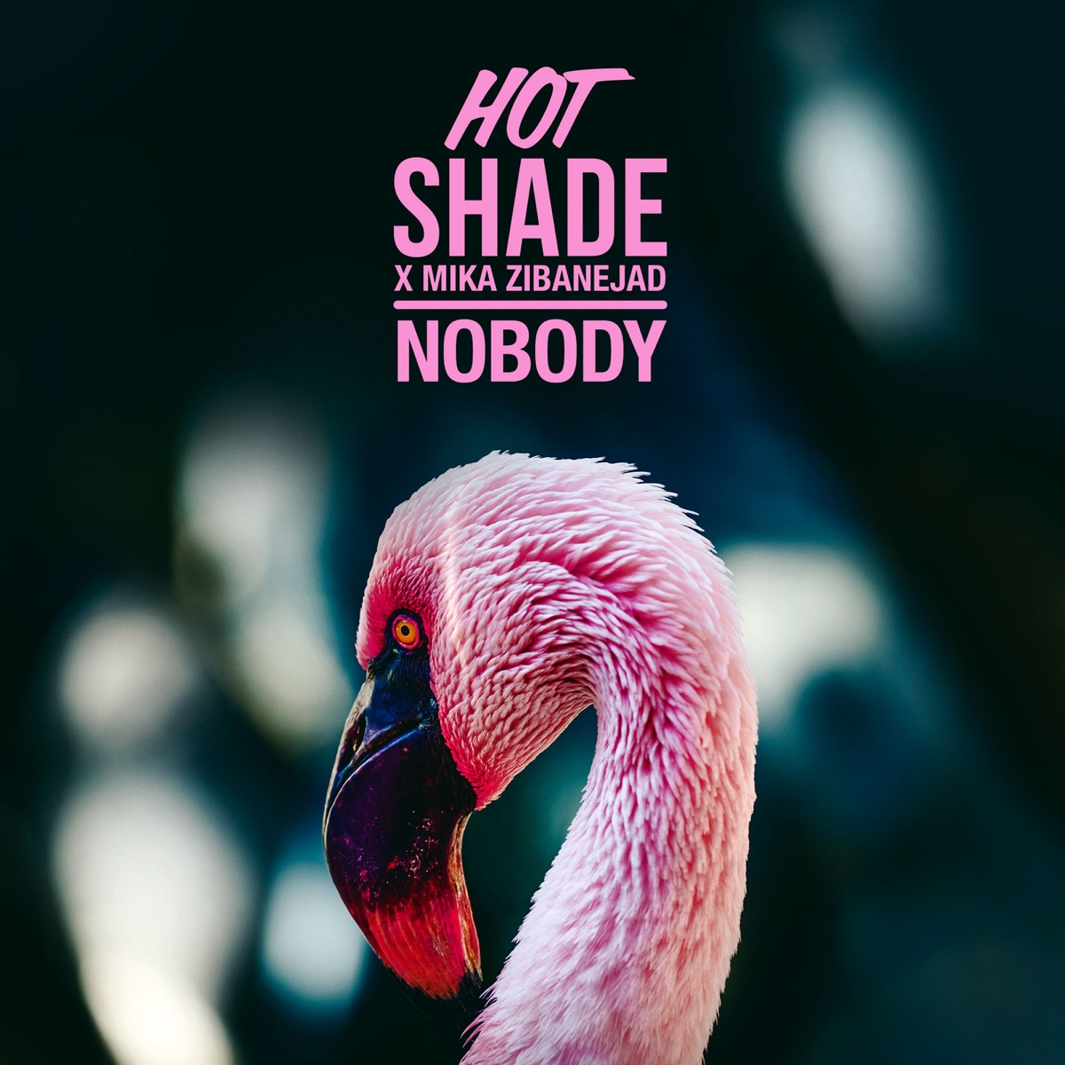 Nobody - Single by Hot Shade & Mika Zibanejad album cover