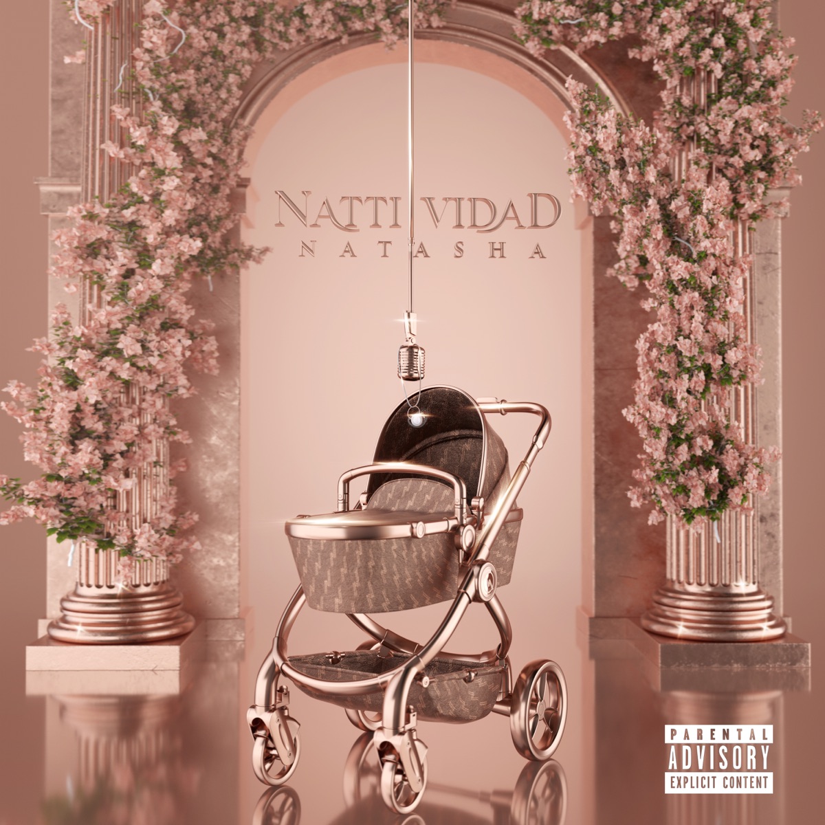 NATTIVIDAD by NATTI NATASHA album cover