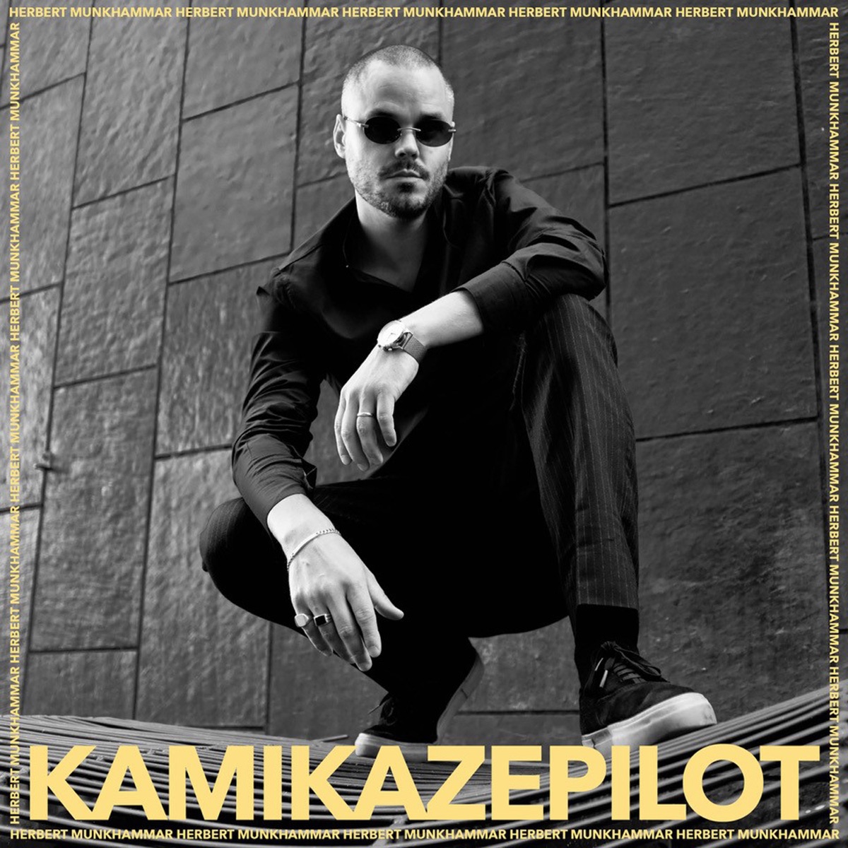 Kamikazepilot - Single by Herbert Munkhammar album cover