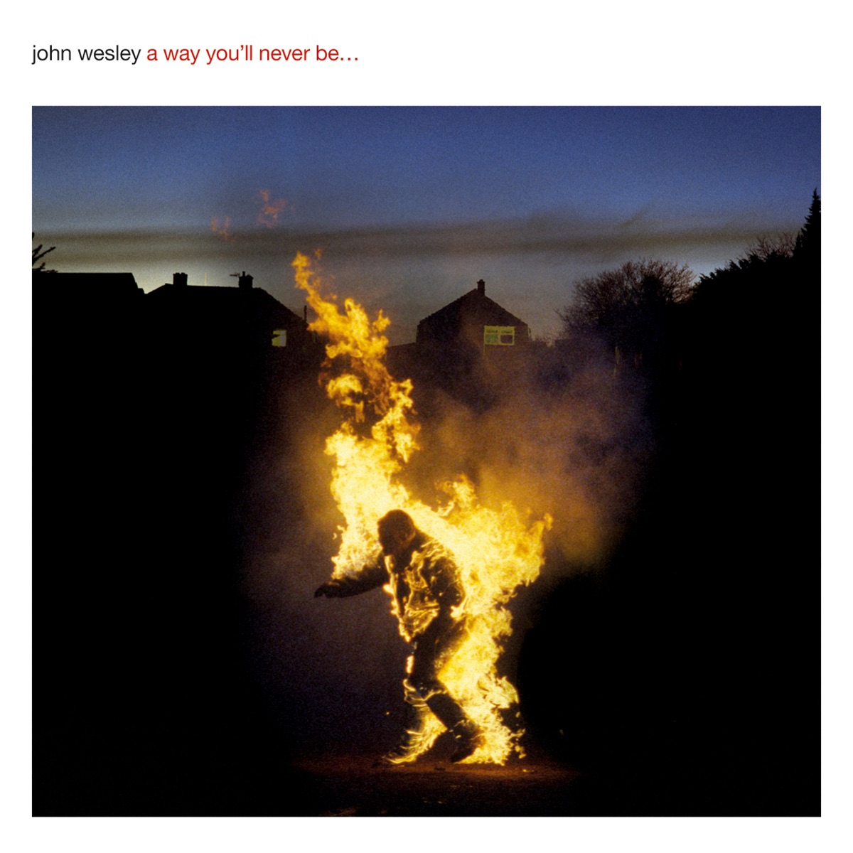 A Way You'll Never Be by John Wesley album cover