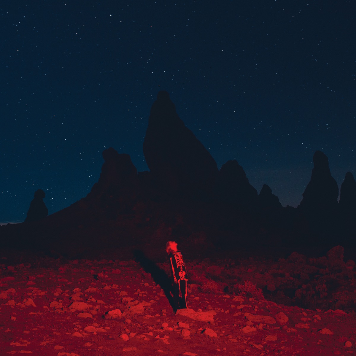 Punisher by Phoebe Bridgers album cover