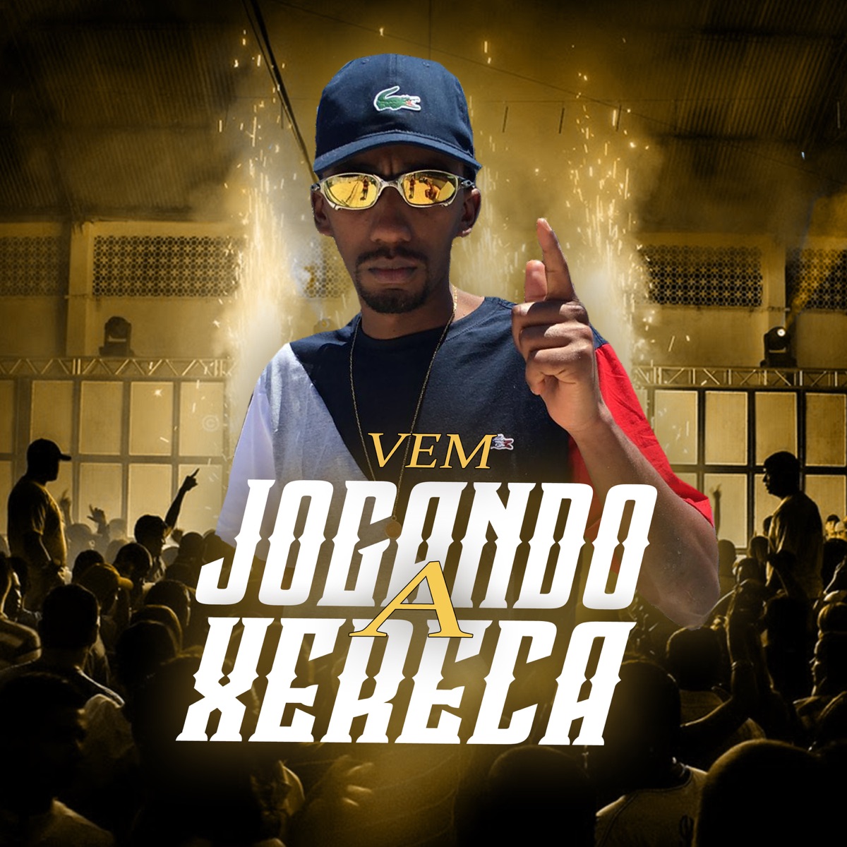 Vem Jogando a Xereca - Single by DJ ML OFICIAL & Tiu Maycon album cover