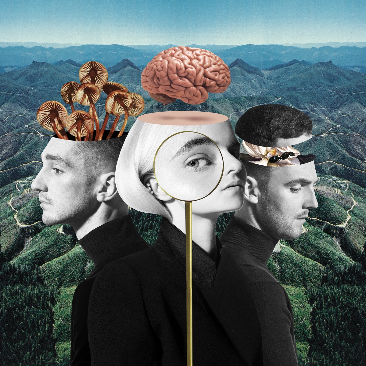 What Is Love? (Deluxe) by Clean Bandit album cover