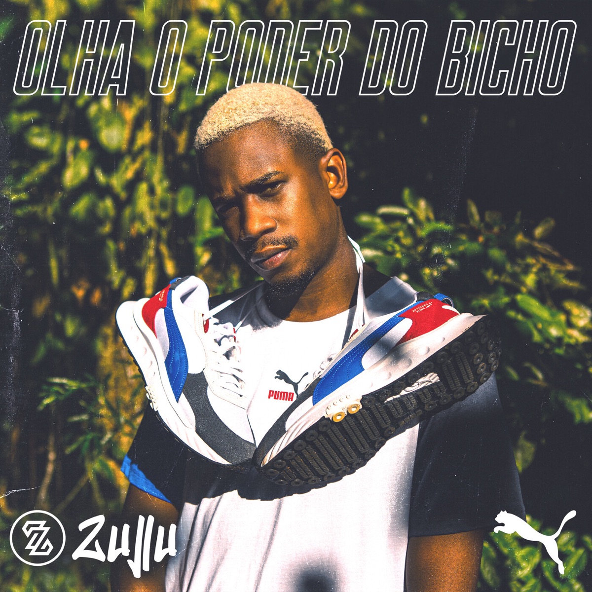 Olha o Poder do Bicho - Single by DJ Zullu album cover