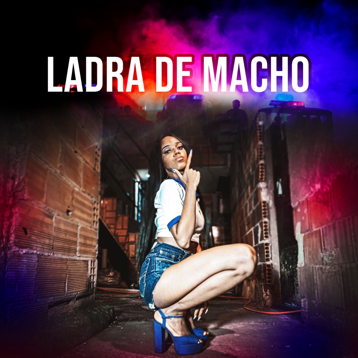 Ladra de Macho - Single by Dj Mn de Niterói & Mc Myllena album cover