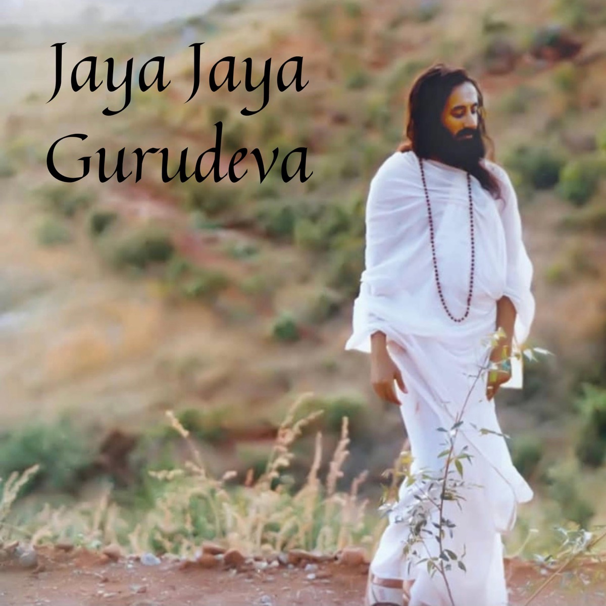 Jaya Jaya Gurudeva (feat. Joanna Bull) - Single by Chants of Ecstasy album cover