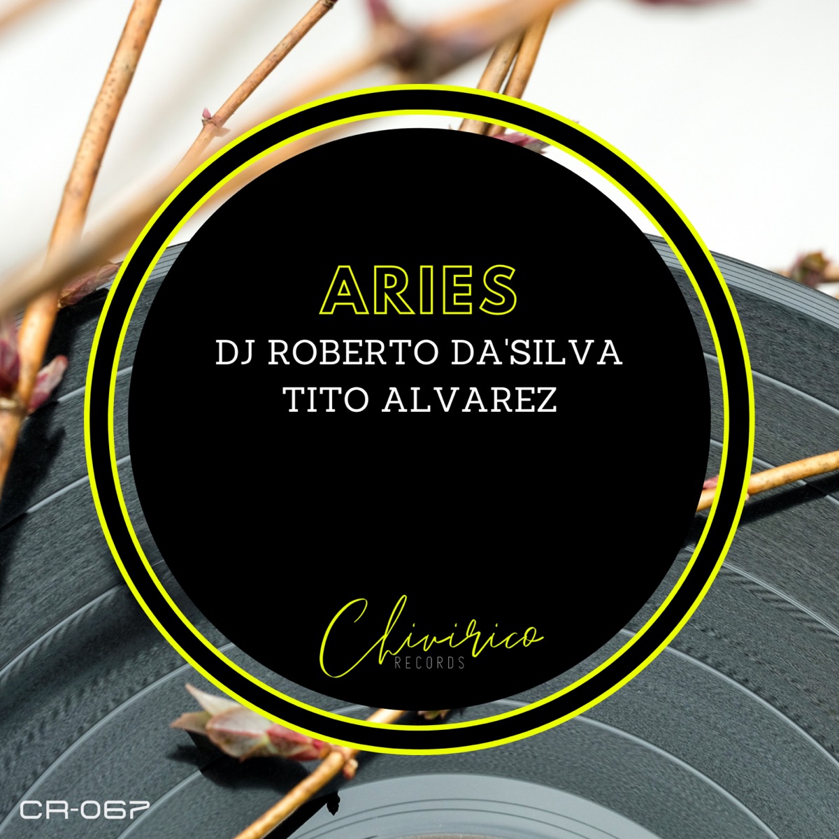 Aries - Single by Dj Roberto Da'Silva & Tito Alvarez album cover