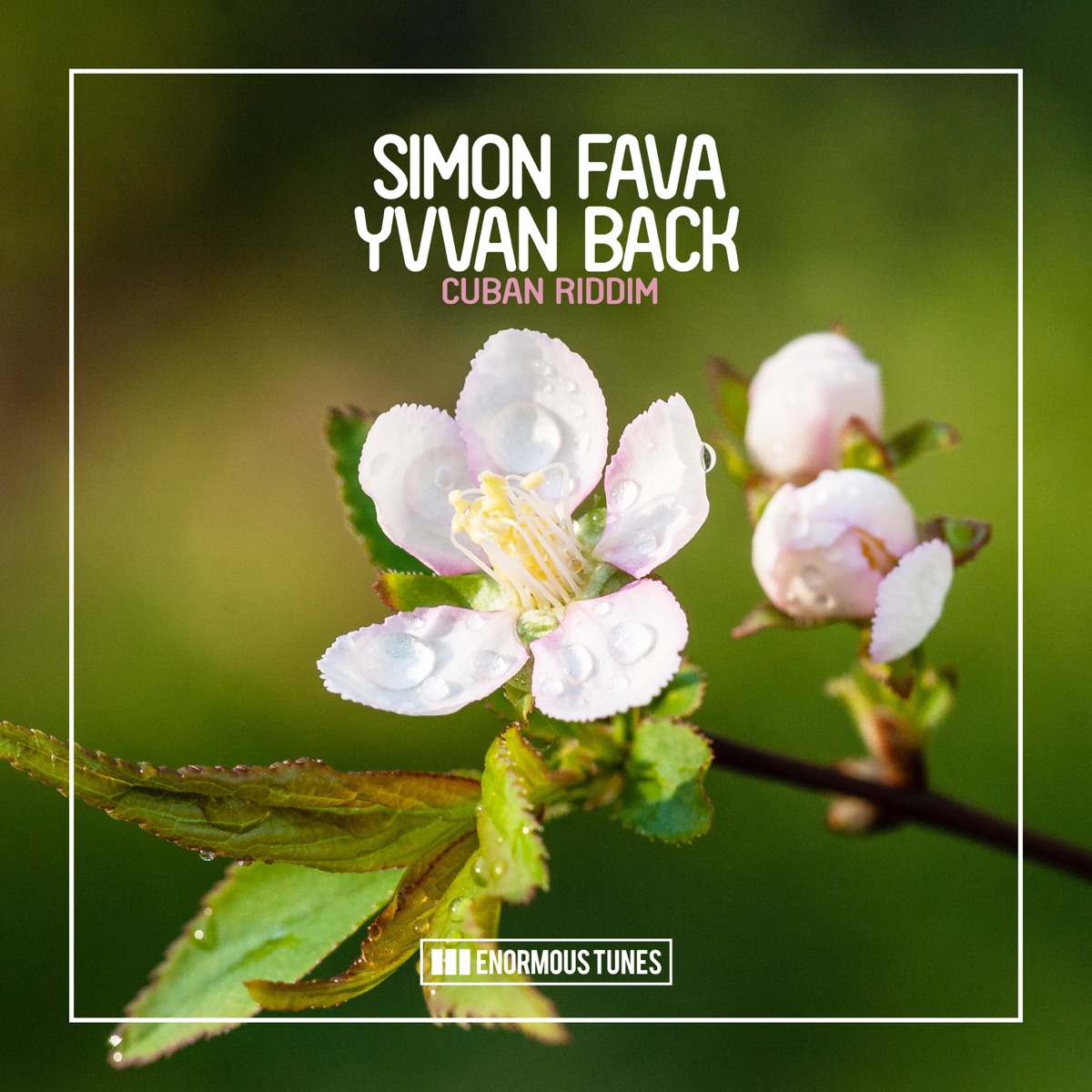 Cuban Riddim - Single by Simon Fava & Yvvan Back album cover