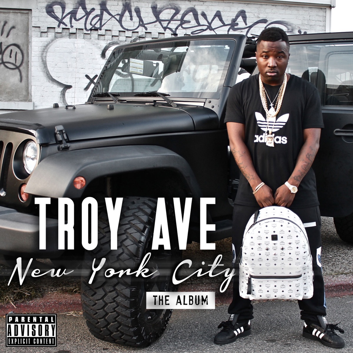 New York City by Troy Ave album cover
