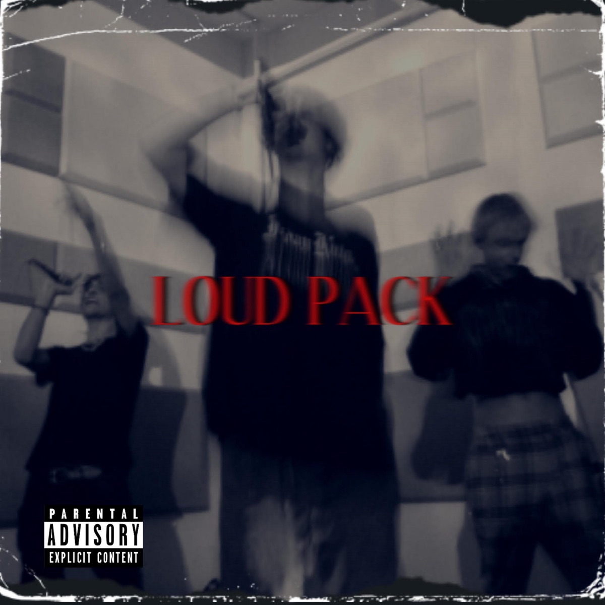 Loud Pack - Single by PINKXMOTH, Callux & Laz album cover