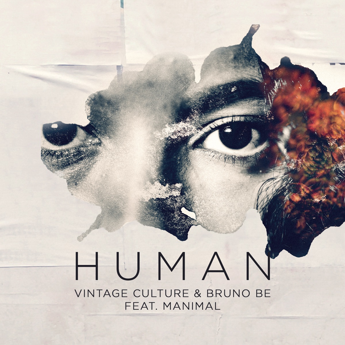 Human (Remixes) - Single by Vintage Culture & Bruno Be album cover