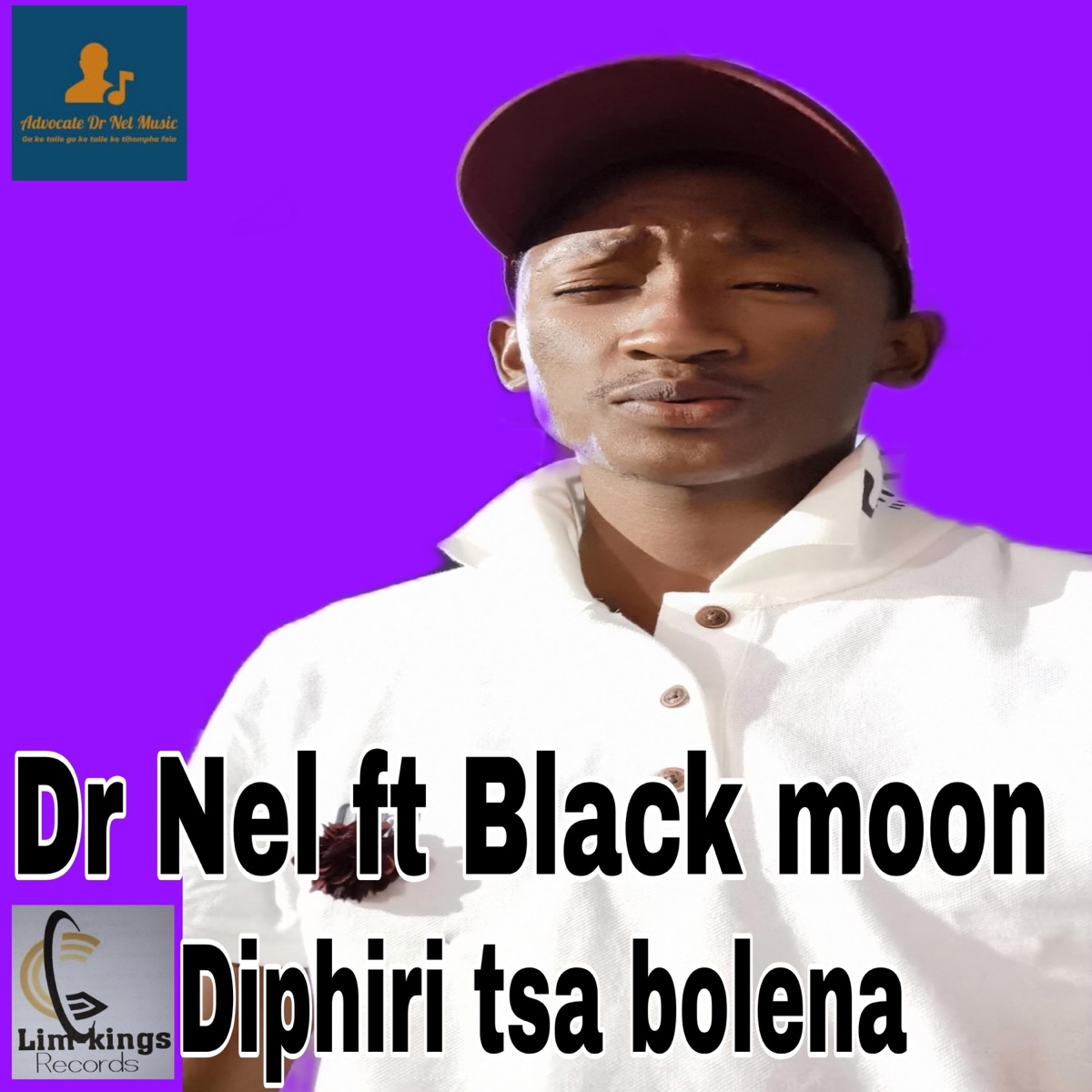 Diphiri tsa bolena (feat. Black moon) - Single by Dr Nel album cover
