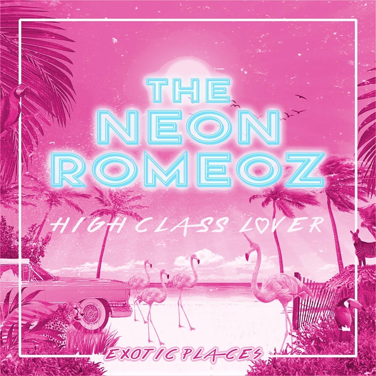 High Class Lover (feat. St. Paul Peterson, Andreas Lundstedt & Jason Peterson Delaire) - Single by The Neon Romeoz album cover